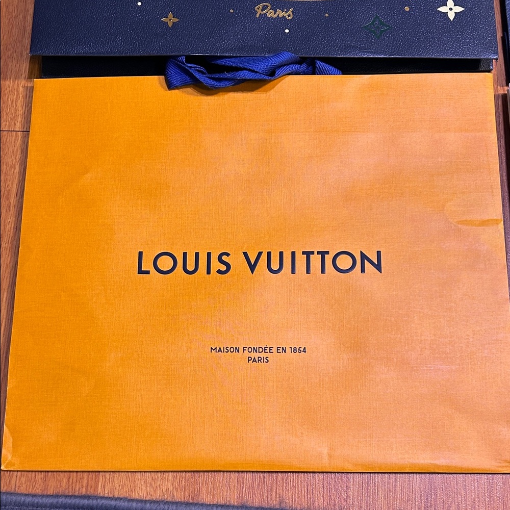 Dior and Louis Vuitton Shopping Bags - Picture 5 of 5